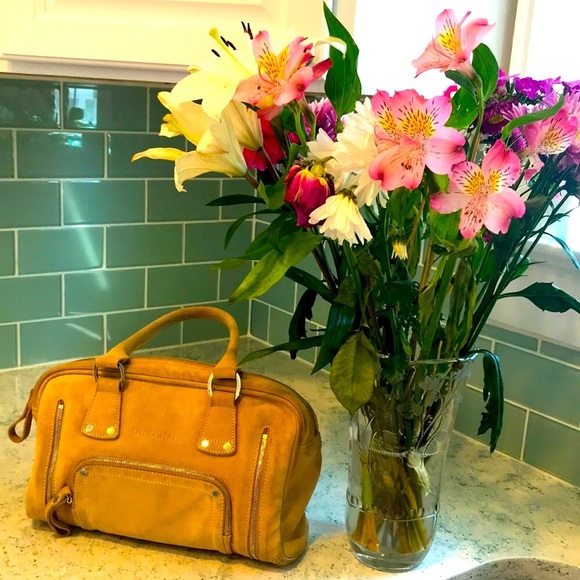 Longchamp Handbags - Longchamp Suede Bag Beautiful!